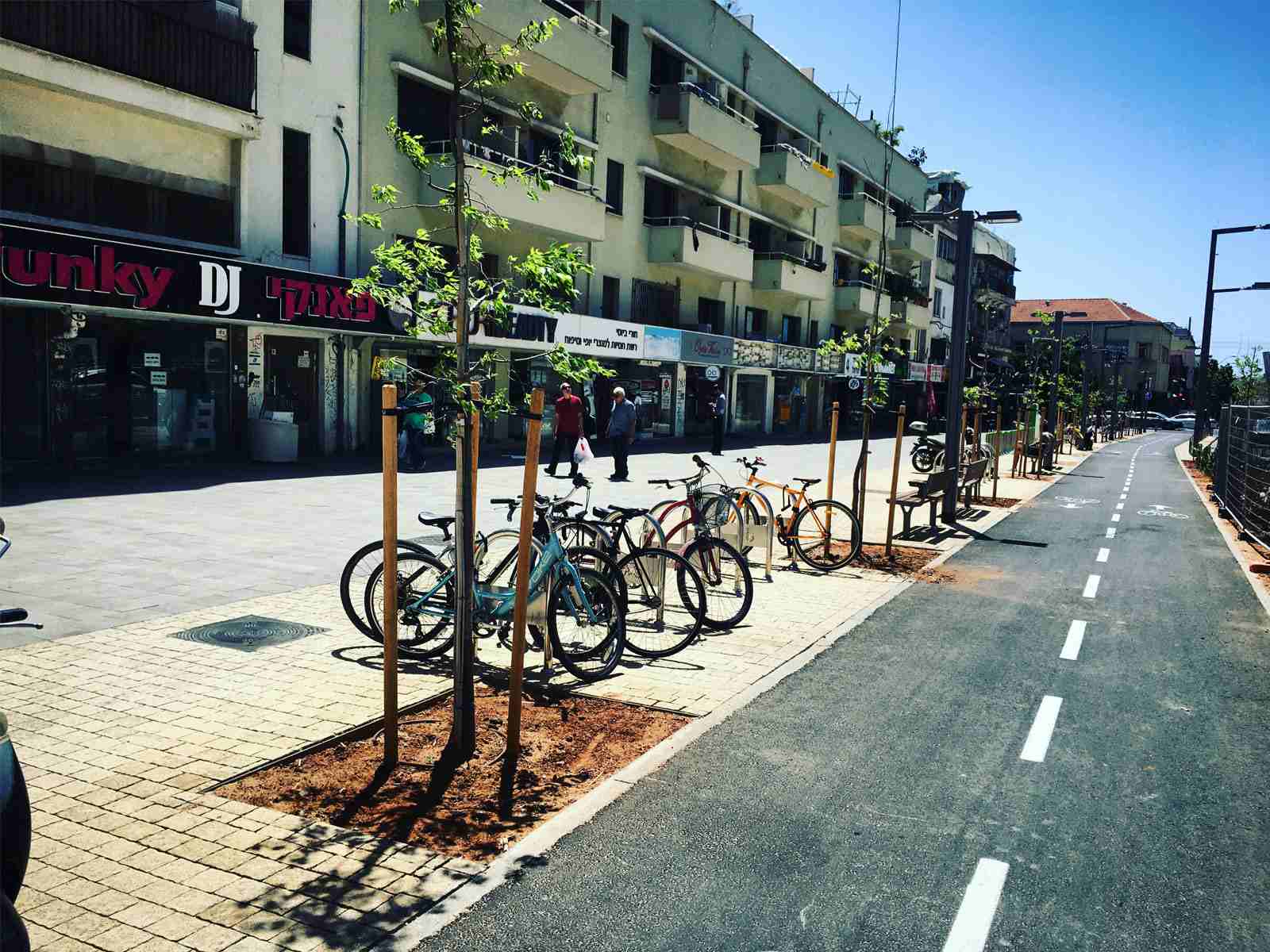 A street with trees during planting