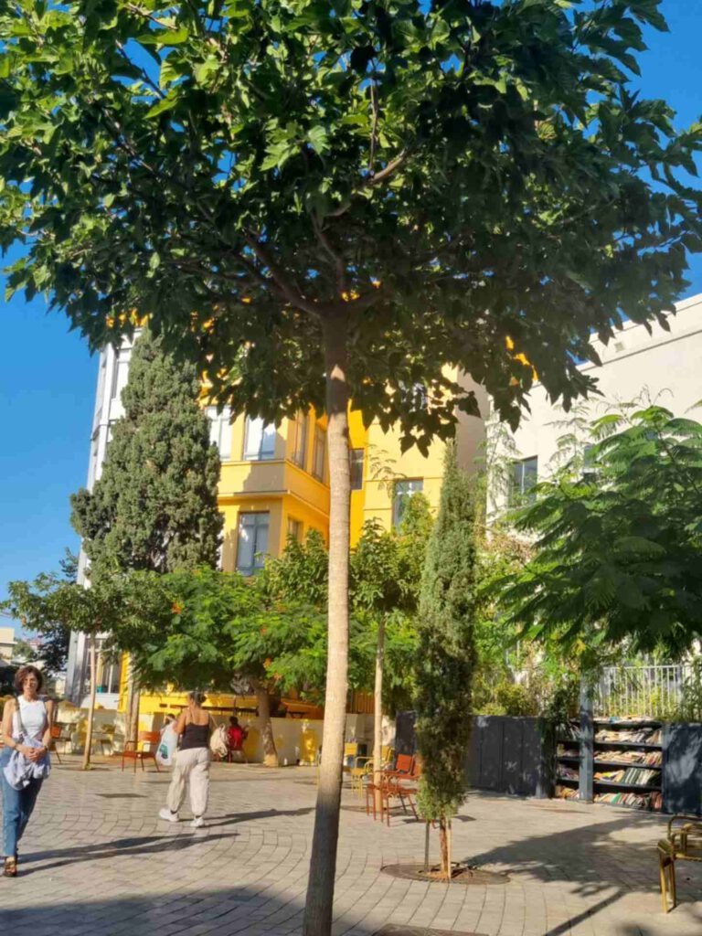 Trees in Bialik Square