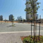 Young trees in Ashdod Marina