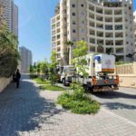 Avenue of trees in Marina Ashdod