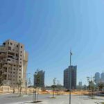 Young trees in Ashdod Marina