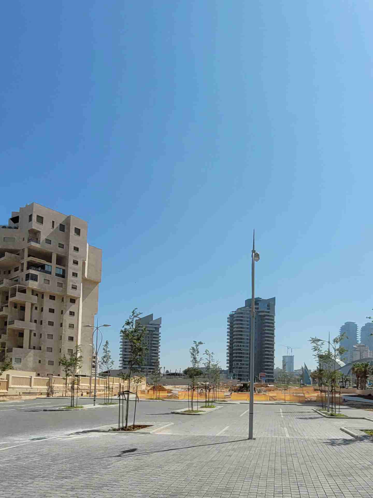 Young trees in Ashdod Marina